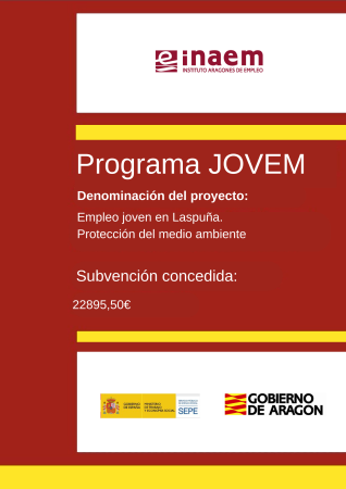 Imagen Programa Jovem