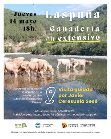 Imagen Visita Guiada Ganadería Laspuña